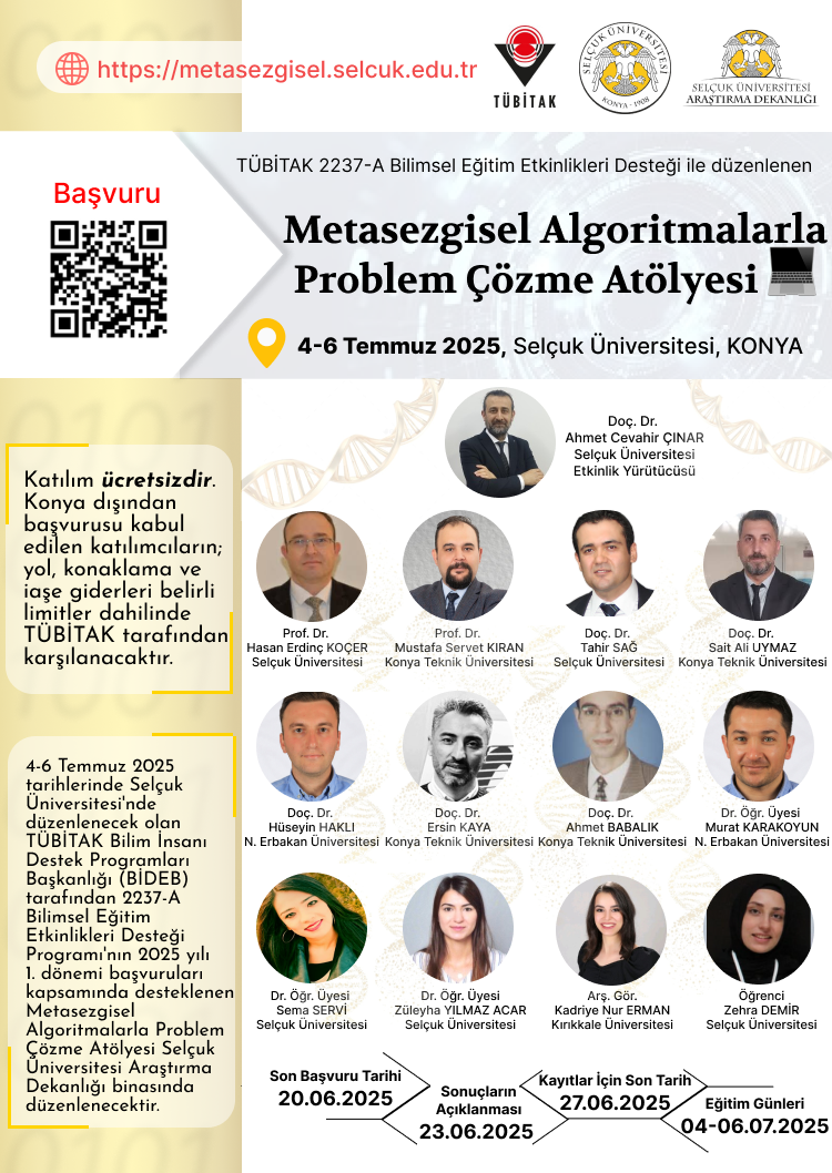 Metasezgisel Algoritmalarla Problem Çözme Atölyesi